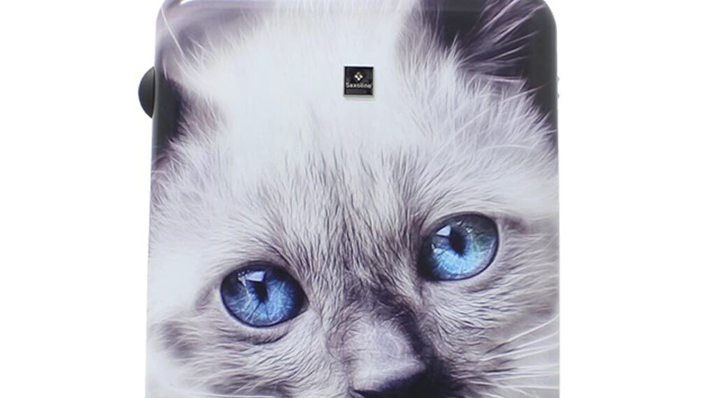 Koffer-und-Handgepaeck.de